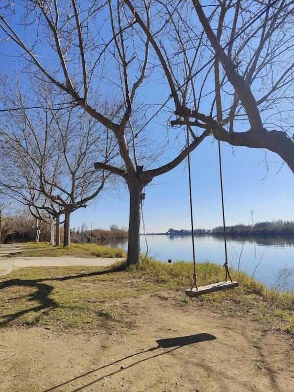 Superbe Appartement Terrasse Entierement Renove Au Bord De L'Ebre Делтебре Екстериор снимка
